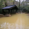 【九重町】筌ノ口温泉 新清館～緑に包まれた露天風呂で黄色に輝く温泉を独泉堪能！