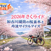 2026年さくらライド：加古川堤防の桜並木と丹波サイクルデイズ