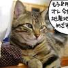 地産地消？
