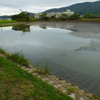 利兵池（愛知県豊橋）