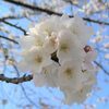 日中の気温は２月並みに！寒い春分となりそう