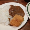 東京都新宿区四谷　ヒレカキ定食＋カレーちょいがけ