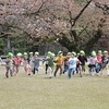 城址公園のお花は