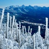 冬の蓼科山登山