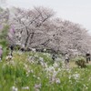 多摩川土手〜等々力渓谷