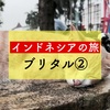 東ジャワ州の未知なる町へいざ行かん【インドネシアの旅：ブリタル②】