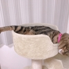 辛い姿勢だと思わせてそうじゃないのかも…。