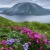 サハリンと千島列島で撮影した3作品　ロシアの写真コンテスト最終選考に残る