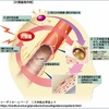 新しい片頭痛薬について