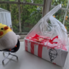 コロに内緒でケンタッキー（失敗？）