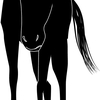 【京都大賞典 2024  レース回顧・結果】さすがに共倒れが過ぎた?