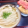 讃岐うどん いわい（十条）ひやひや•中＋ゲソ天＋紅生姜天