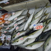 舞鶴かね和　京都舞鶴市  海鮮市場  海鮮販売  干物販売  鮮魚販売  お土産