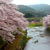 美祢さくら公園