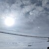 晴れ☀　散歩・花と緑の学習園へ