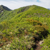 ◆'23/05/25　雁戸山②…カケスガ峰～雁戸山