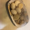 おでん（oden）