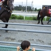 十勝ドライブ～癒しを求めて～