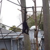 熊本市動植物園＠23/3/27