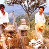 【ＢＳ松竹東急】八つ墓村(1977)