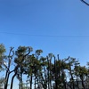 2022/02/05  （憎たらしい）職場近くの景色の良さを再認識する笑