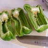 サウジノオモイデ - Huge peppers 巨大ピーマン