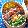 5月25日のお弁当