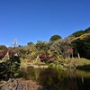 🍂肥後細川庭園の紅葉です❗