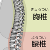 からだの向きを変える　その「からだ」はドコ❓