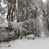 雨から雪に