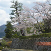 舞鶴・田辺城址公園