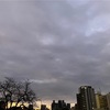 7:47 なんとも言えない綺麗な色
