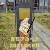 月刊フルーツ　2021年11月号