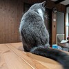 【勤労報告】お前をコロス（ﾃﾞﾝﾃﾞﾝ！ﾃﾚﾚﾃﾚﾚ）