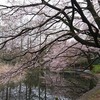 西荻窪・善福寺公園～犬との暮らしがあればこそ～