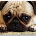 เว็บไซต์ที่รวบรวมสาระดีดีจากการท่องเที่ยว