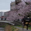 浅野川と浅野川大橋