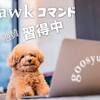 awkコマンドの複数アクションの区切り文字