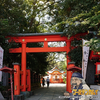 🎼枚聞神社@指宿市🎼