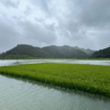 台風一過
