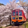 春休み旅行② 京都