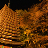 奈良県の絶景スポット。紅葉シーズン到来の談山神社のライトアップとか、紅葉が美しい投石の滝とか、庭園が美しい天好園とか。