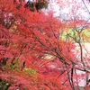 海藏山  龍雲寺の紅葉など ⑤ （島根県浜田市）