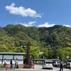 何やら岐阜公園周辺が盛り上がっているらしい...
