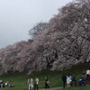 雨の土曜日