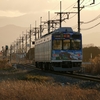 秩父鉄道と羽生の田園夕景（埼玉県羽生市）