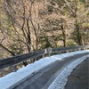 2025.3.21 愛媛県面河川支流〜高知県梼原川本流でイワナとアマゴ