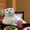 今宵は、宴(うたげ)じゃ～！！