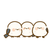 「可愛い」は禁句。