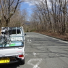 鹿は手を挙げて道路は渡れない････びっくり‼